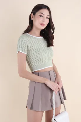 HERALD SLEEVED KNIT TOP IN SAGE